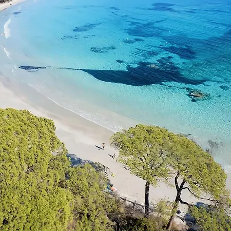 Le Mistral Porto-Vecchio (Corsica)