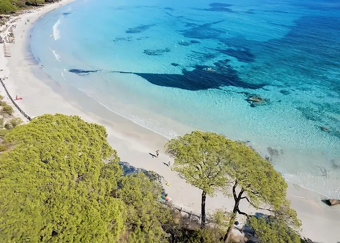 Le Mistral Porto-Vecchio (Corsica)