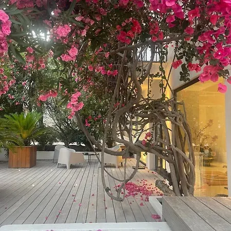 Le Mistral Hotel