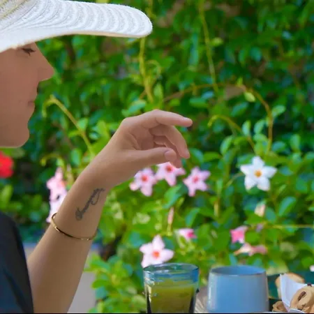 米斯特拉尔酒店 维琪奥港