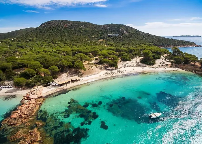 酒店 米斯特拉尔酒店 维琪奥港