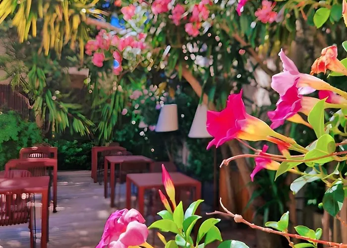 酒店 米斯特拉尔酒店 3*